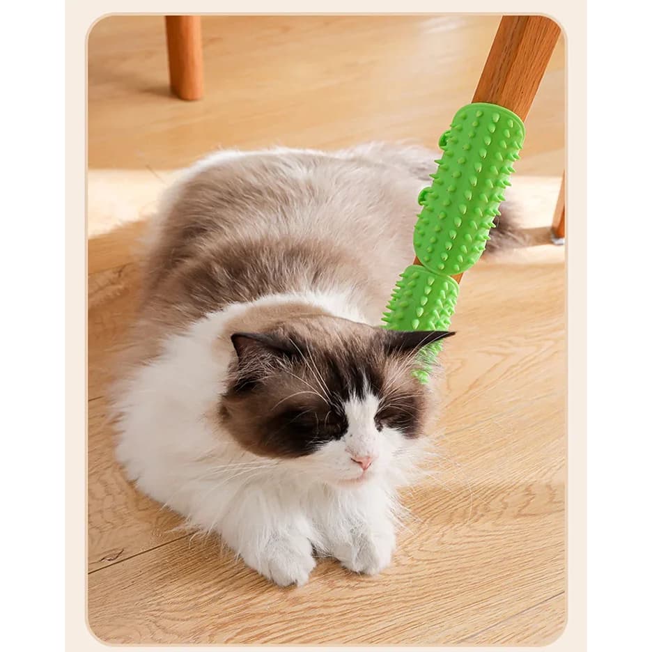 Escova Massageador Para Gatos Pente de Silicone Para Pets Coçador Auto Limpante Para Gatos