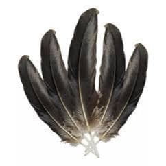 "Pena de Pássaro Igun – Urubu Abutre para Ritual e Conexão Espiritual no Candomblé (1 Unidade)"