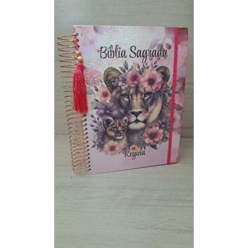 Biblia Sagrada João Ferreira de Almeida - Letra Média - Capa Dura