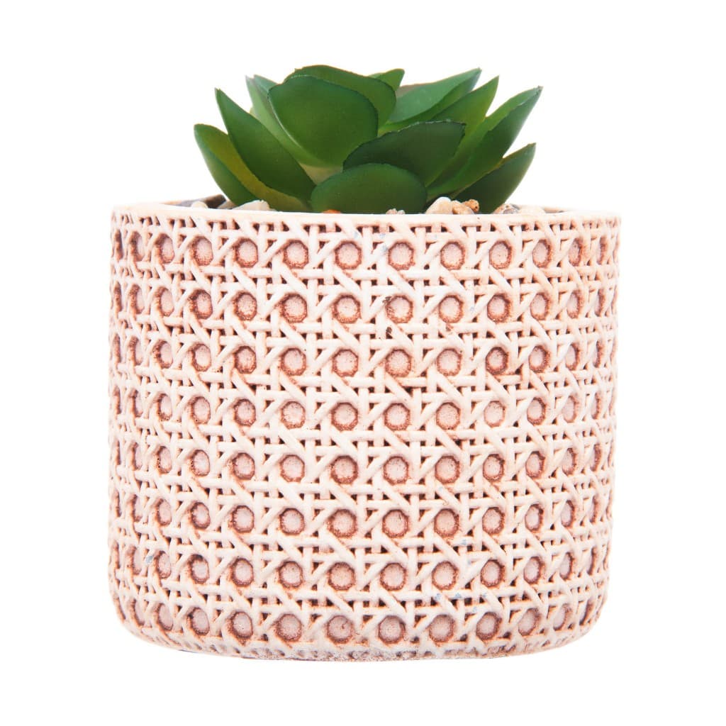 Cachepot de Cerâmica com Suculenta Treliça 7,5cm x 7,5cm X 10,5cm - Wolff