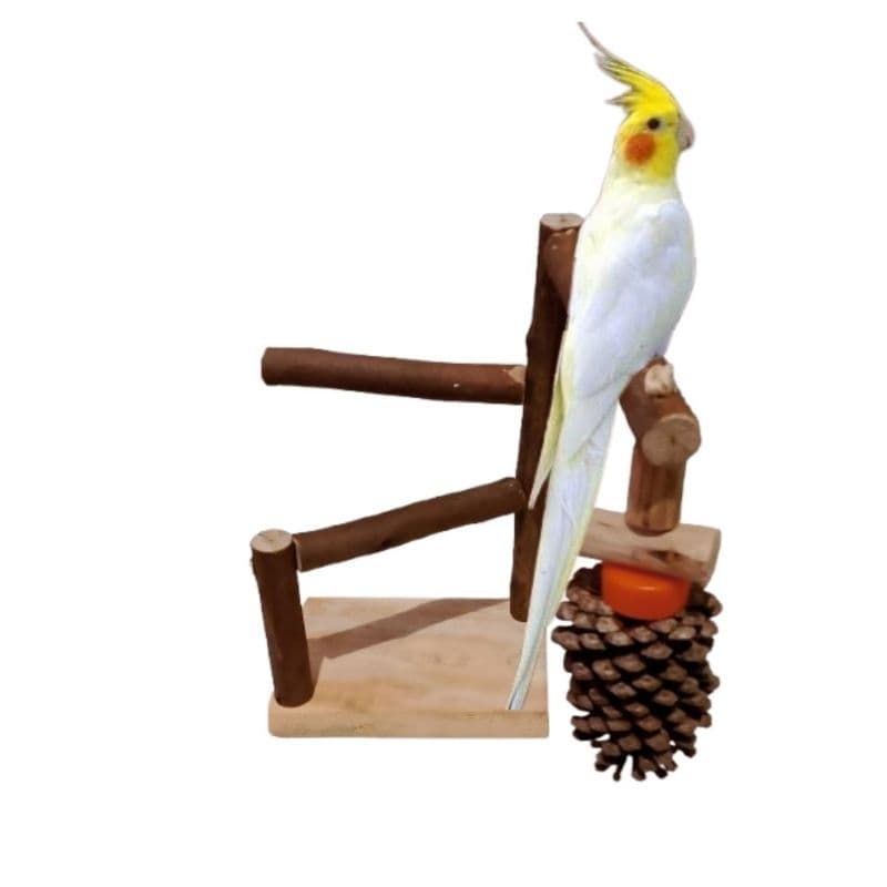 Mine poleiro rústico de galhos com casca e um brinquedos pinha para calopsitas e outros pássaros