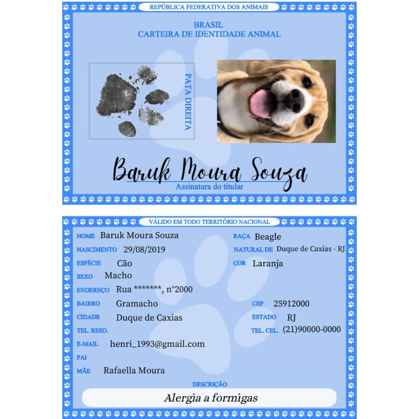 Cartão RGA PET PERSONALIZADO COM NOME, IDENTIDADE PARA ANIMAIS DE ESTIMAÇÃO