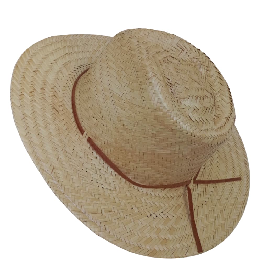 Chapéu de Palha ECOLÓGICO: Estilo, Proteção e Conforto (Moda Praia)