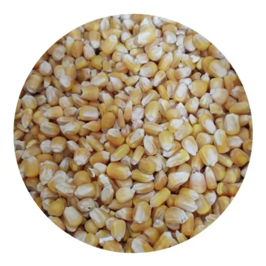 Grao Milho Para Galinha 5kg - Granel