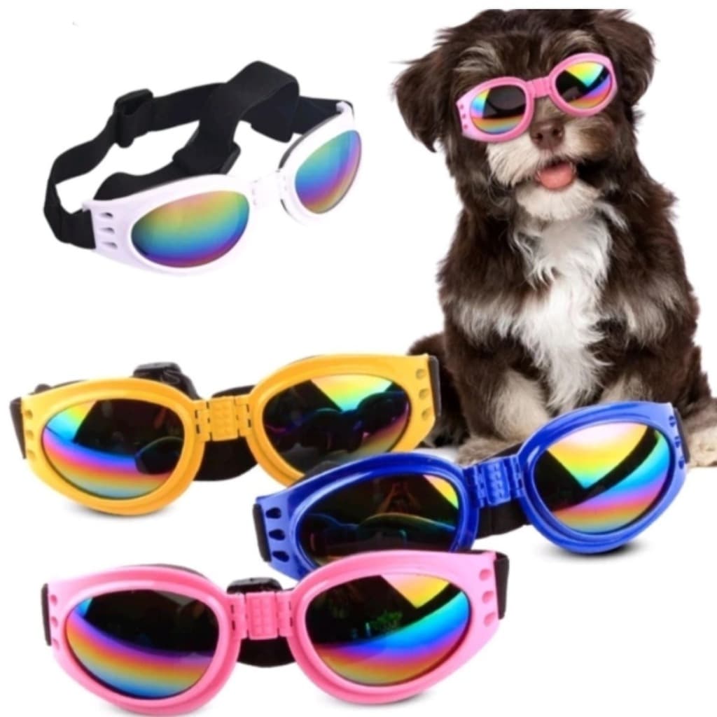Óculos De Proteção Para Cães Andar De Bike/moto