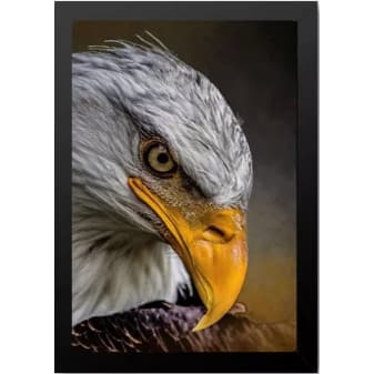 Quadro Decorativo Personalizado De Águia Com Moldura E Vidro