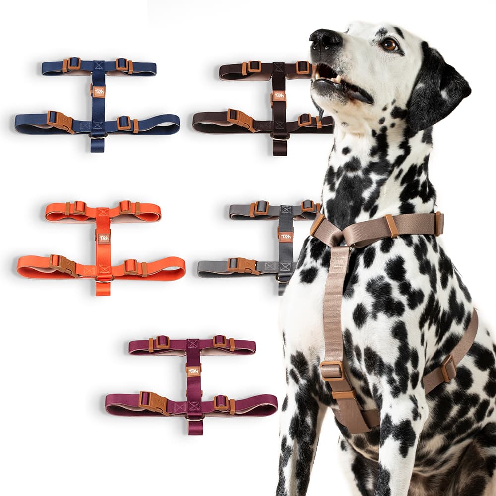 Coleira Peitoral H para Cachorro Passeio Basic Avulso Toh Dog