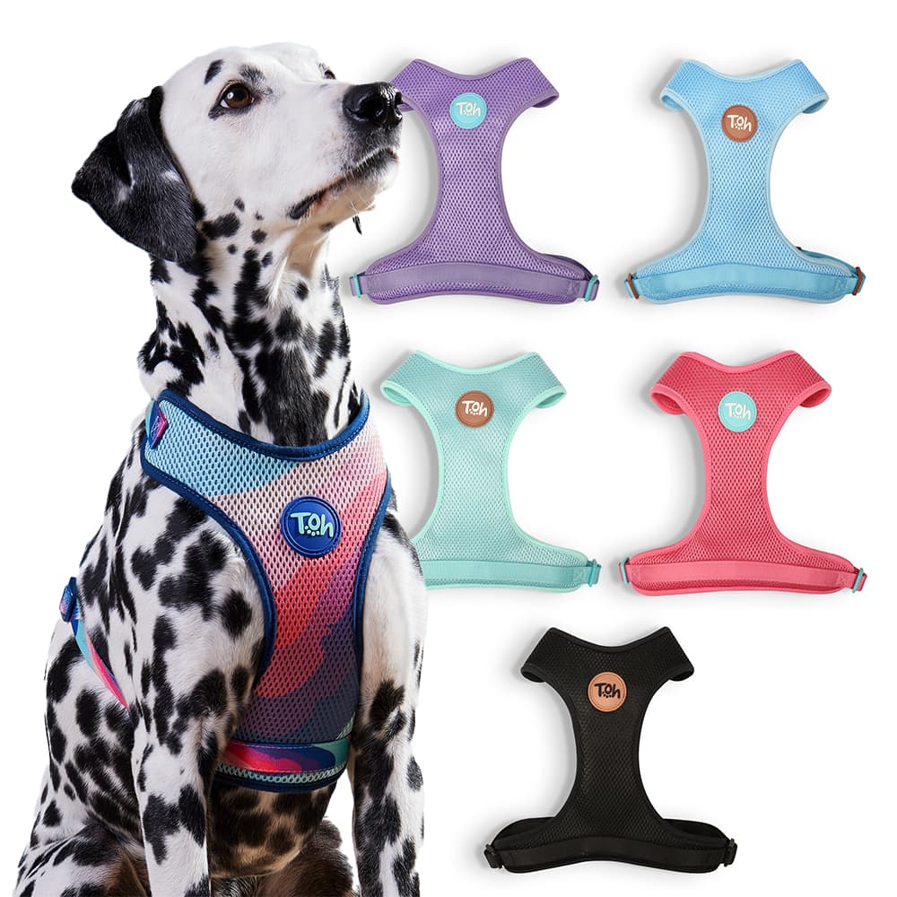 Peitoral Mesh H Toh Para Cachorro De Todos Os Portes E Raças Peitoral Transpirável