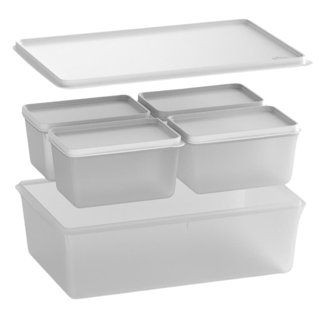 Kit 05 Potes Plástico Linha Basic Freezer, Lava-louças Micro-ondas - Coza