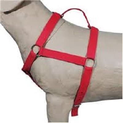 Coleira Peitoral Nylon Para Cachorros De Grande Porte