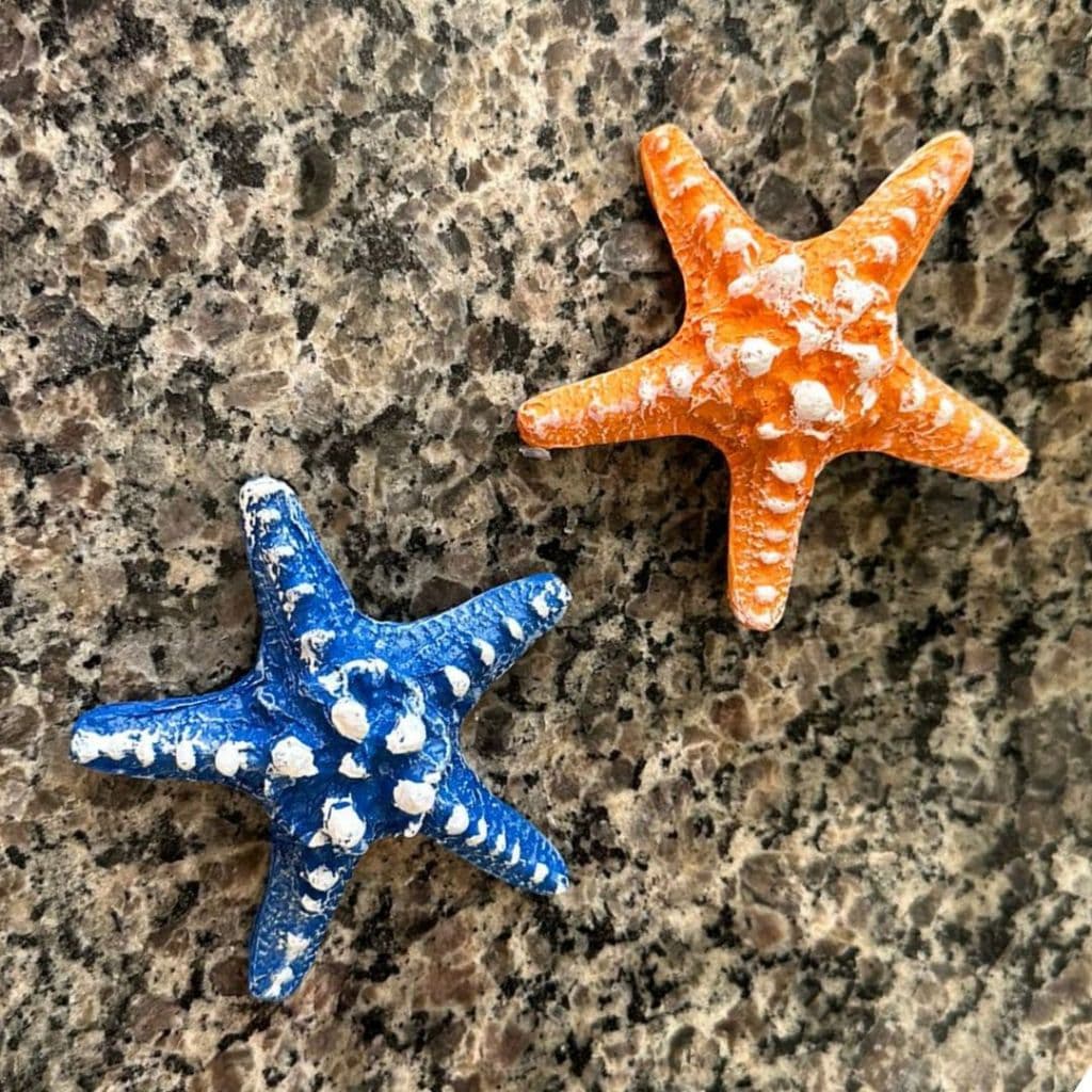 Estrela do Mar em Resina 9cm Decorar Pendurar Parede Pousada Praia