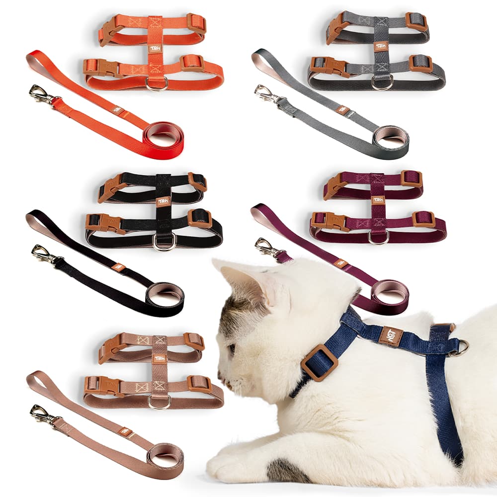 Coleira Peitoral H Para Gato com Guia e Regulagem Ajustável Kit Basic Pet Toh