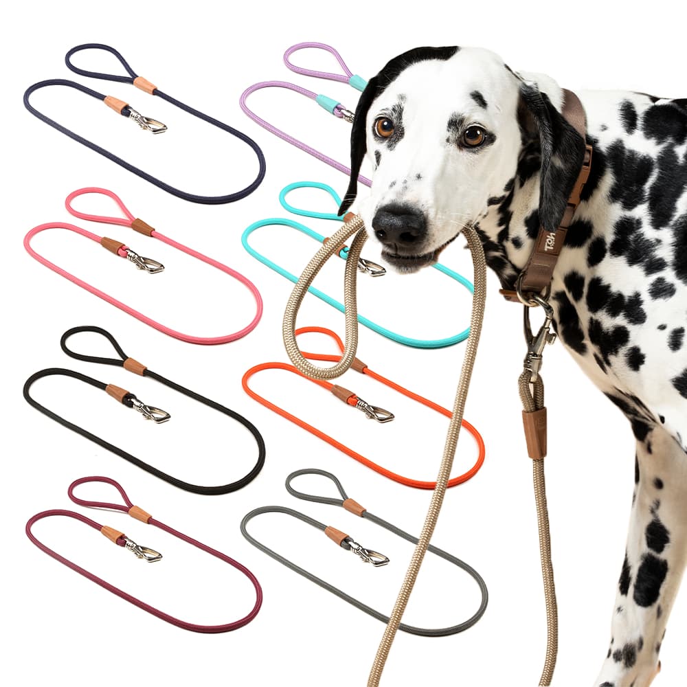 Guia para Cachorro Corda Premium Passeio 1,20 Metros Toh Pet Cães Várias Cores