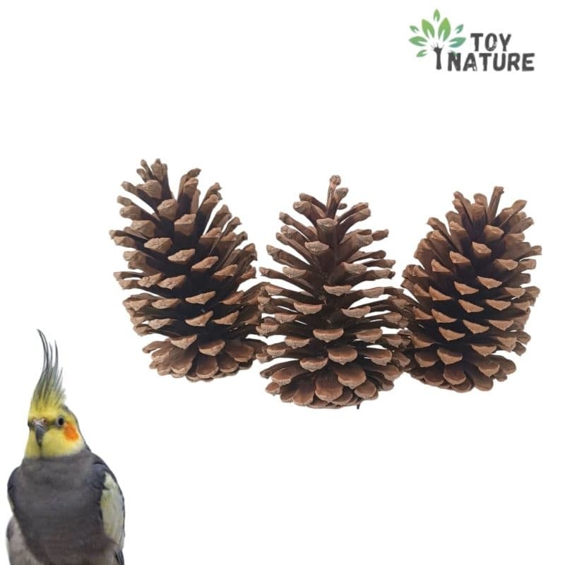 Kit Pinhas Naturais Para Aves/roedores/calospitas