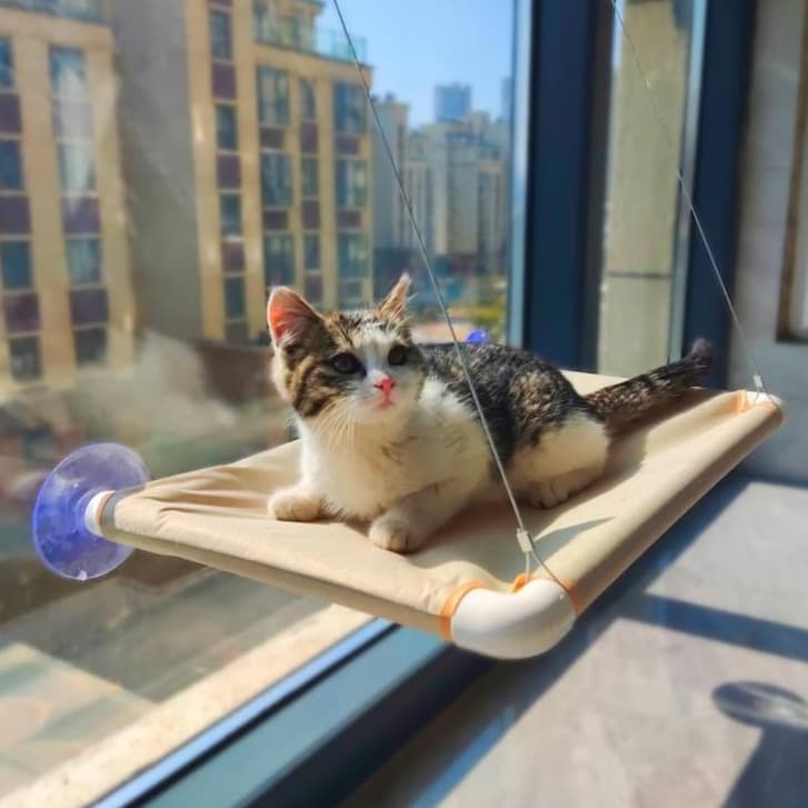 Cama Para Gatos Rede Suspensa Suporta Até 20kg Cama De Animal De Estimação Assento De Janela De Sol