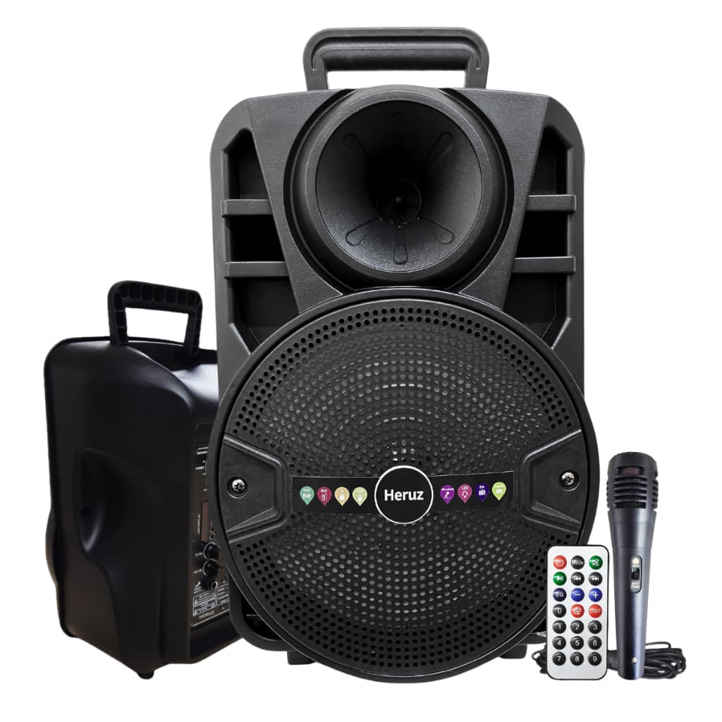 Caixa de Som Alto Falante de 8 Grande Potencia 2000 PMPO com Microfone MP3