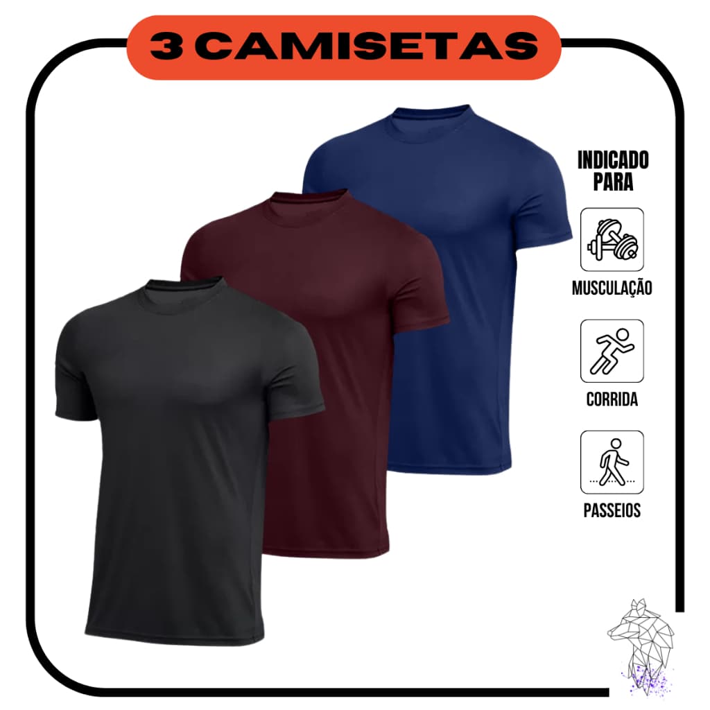 Kit 3 Camisetas Masculinas de Academia Dryfit