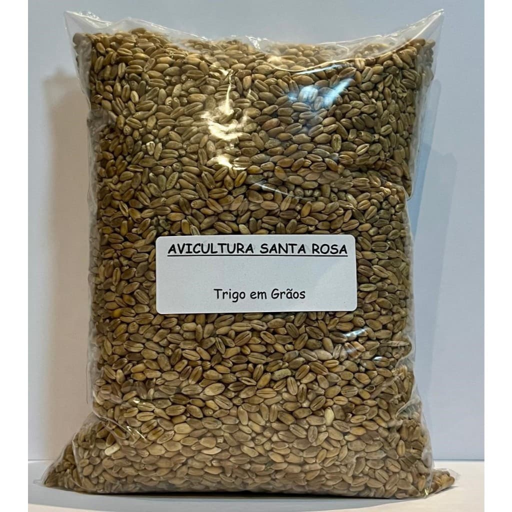 Trigo Em Grãos - 5kg