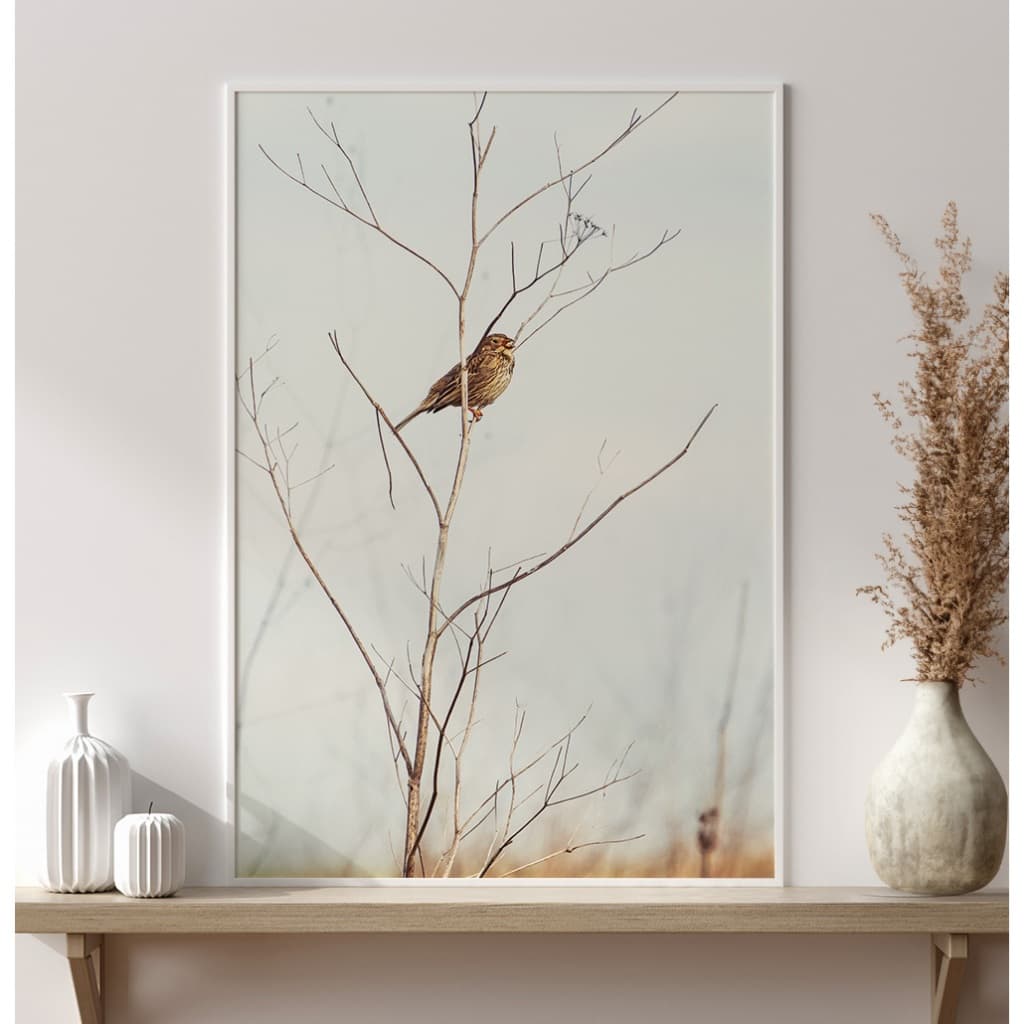 Quadro Natureza Com Moldura E Vidro Quadro Decorativo Para Quarto Quadro Vintage Pássaro Em Galho