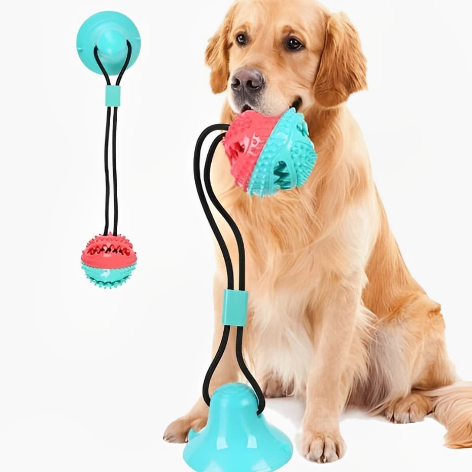 Bola De Brinquedo Para Pet Cachorro Porta Petisco Com Ventosa Gruda Chão Parede Mordedor Pet Ball