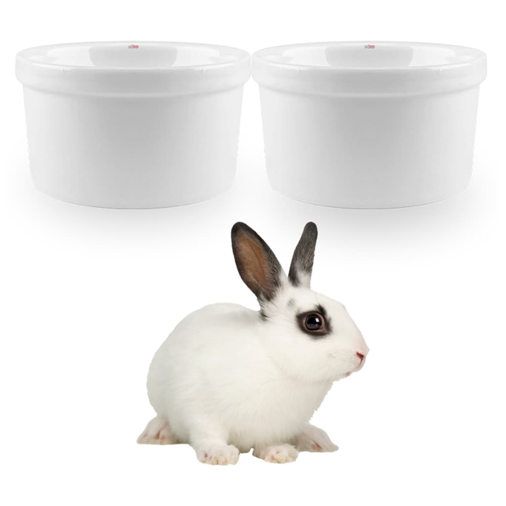 Kit 2x Comedouro Bebedouro Porcelana 135ml Coelho Pet Ração