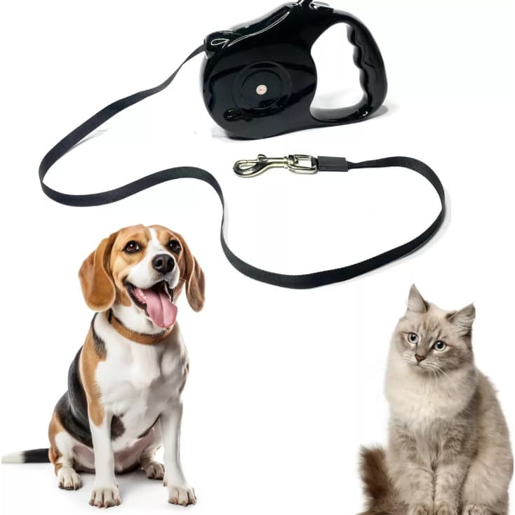 Guia Coleira Retrátil Para Passear Cachorro Gato Pet Premium