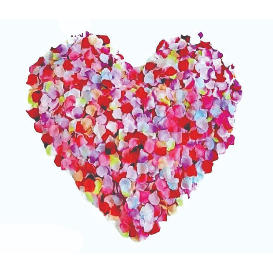 500 Pétalas De Rosas Artificiais Casamento Noivado Cores Variadas