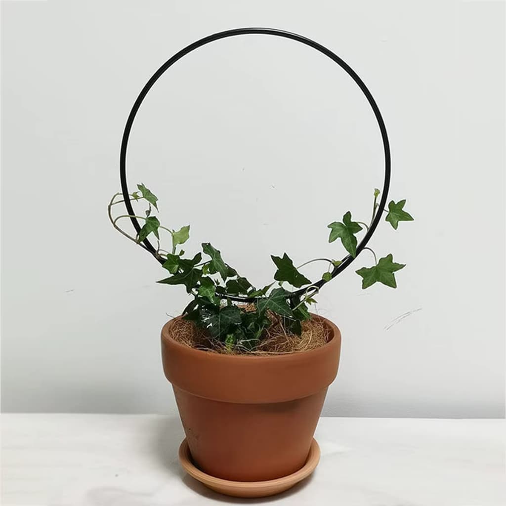 Suporte Arco para Plantas De Escalada De Ferro ,Treliça De Jardim, Videira De Flor Interior,