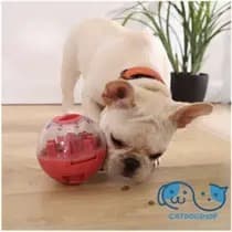 Bola Interativa Porta Petisco Para Cães e Gatos - Brinquedo Tutelo Bem-me-Pet Vermelha