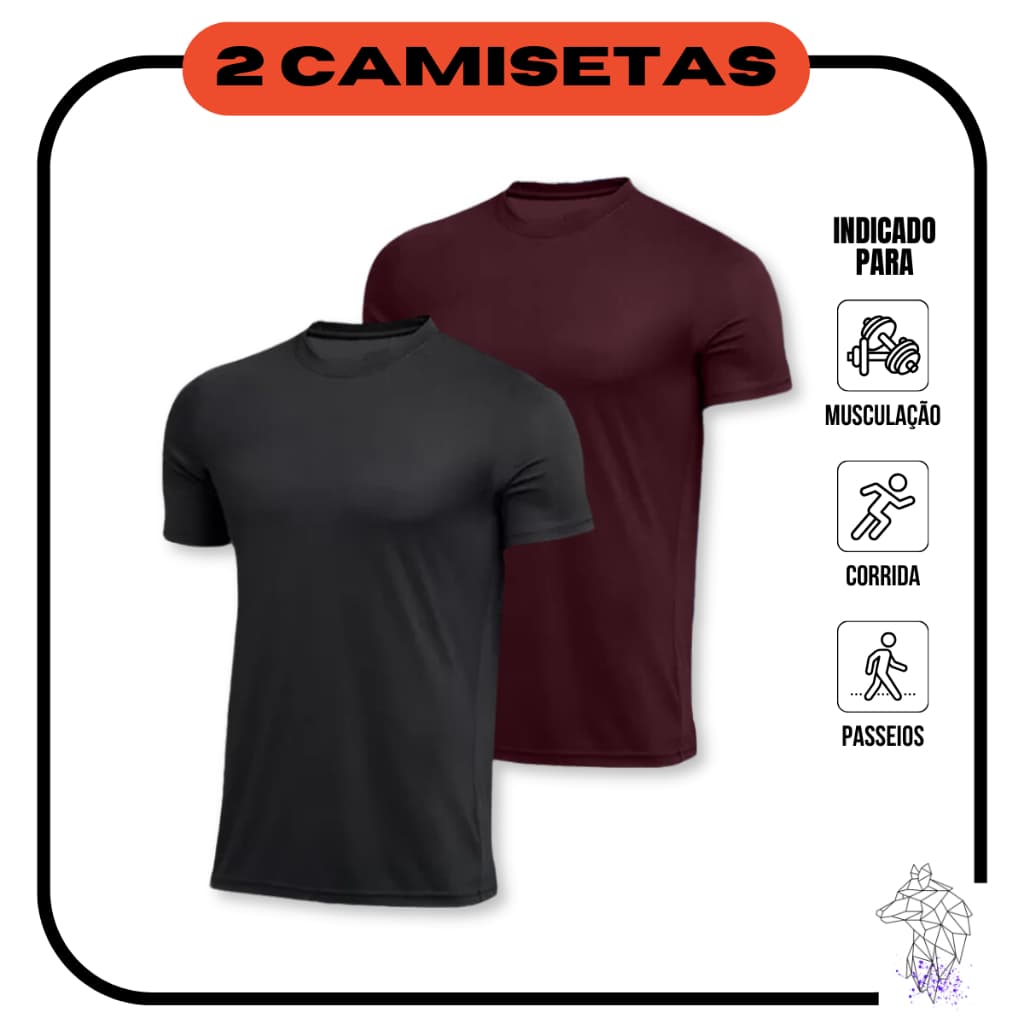 Kit 2 Camisetas Masculinas de Academia Dryfit