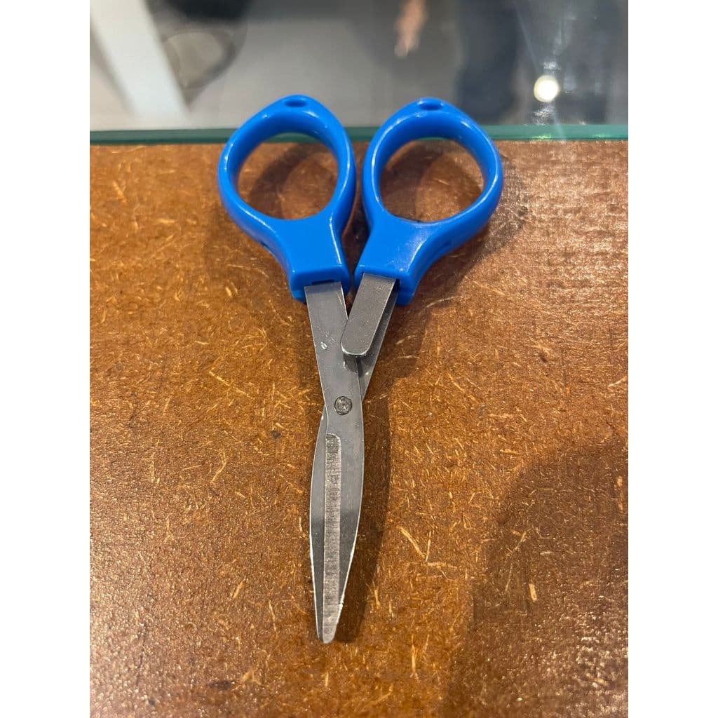 Tesouro De Cor Dobrável Azul