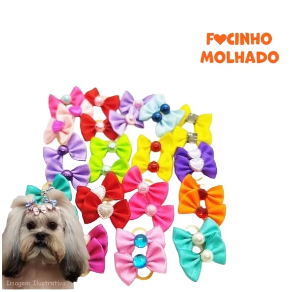Kit 5 Parzinhos Laços 10 Lacinhos Sortidos para Cachorro Enfeite Laçinho Fêmea Pet Carnaval