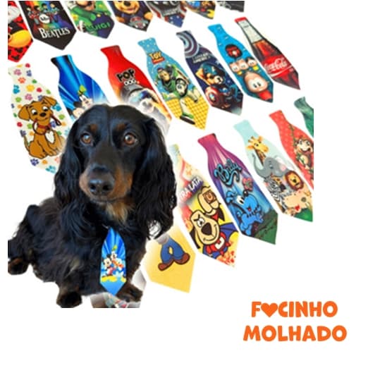 Kit 5 Gravatas para Cachorro Estampadas Coloridas Carnaval Gravatinhas