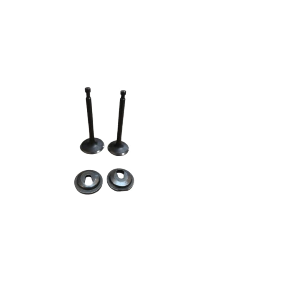 Kit Válvula Trava Exaustão Motor 5.5 6.5 7hp Branco Buffalo