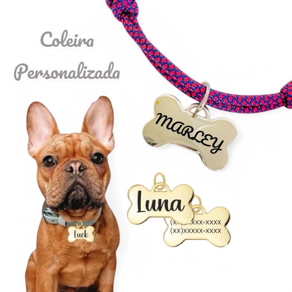 Coleira com Placa Personalizada de Identificação Para cachorro Gato Cão- Varias Cores
