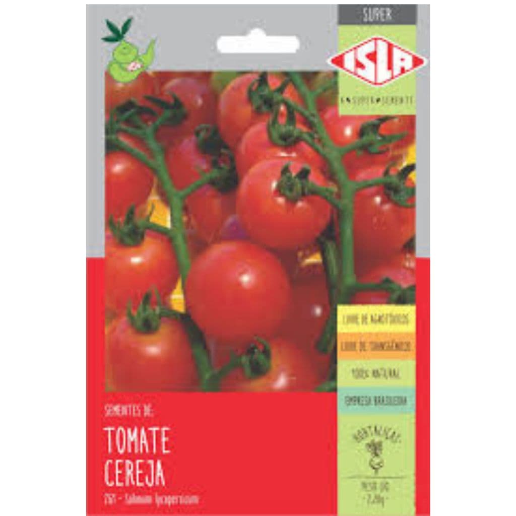 800 SEMENTES DE TOMATE CEREJA - TOMATE COQUETEL - TOMATE CEREJA SAMAMBAIA