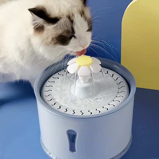 Bebedouro Fonte de Água Pet Elétrico Dispenser C/ Filtro Silencioso