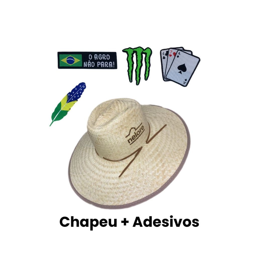 Chapéu Country Palha Carandá Unissex Com Adesivos Alto Colante Rodeio Festa Cowboy Artesanal