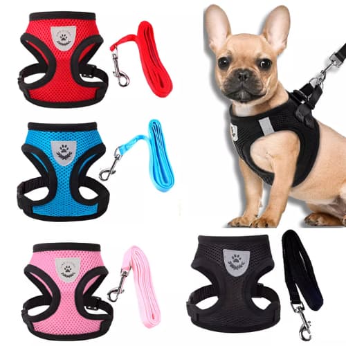 Coleira Peitoral Para Cachorro Pet Colete Refletivo + Guia para Cães Pequenos Filhotes Gatos