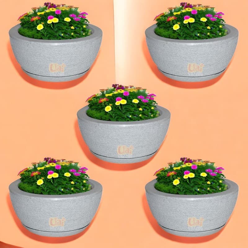 Kit 5 Vasos Bacia Cuia Para Plantas Suculenta Rosa do Deserto Em Polietlileno 26X13 P Com Prato Coletor