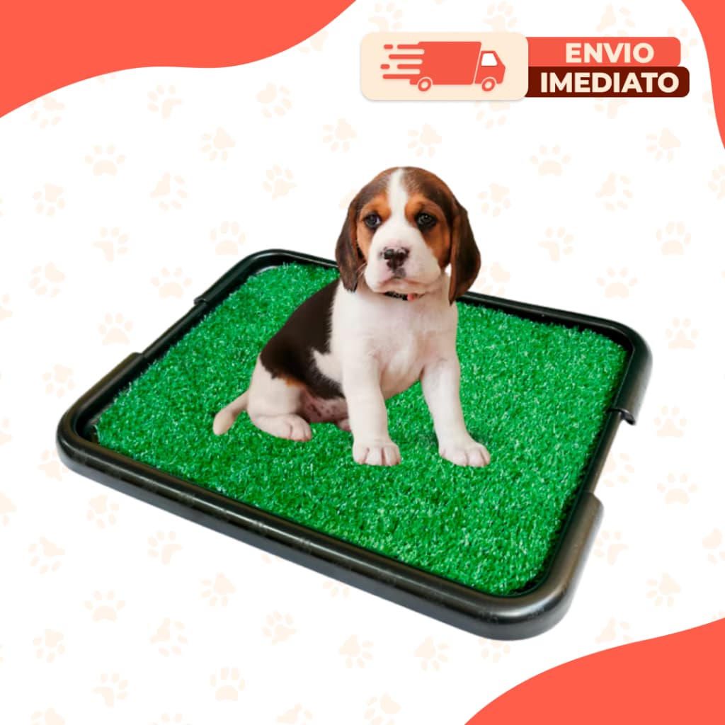 Tapete Higiênico Grama Sintética Educador Cães Banheiro Pet