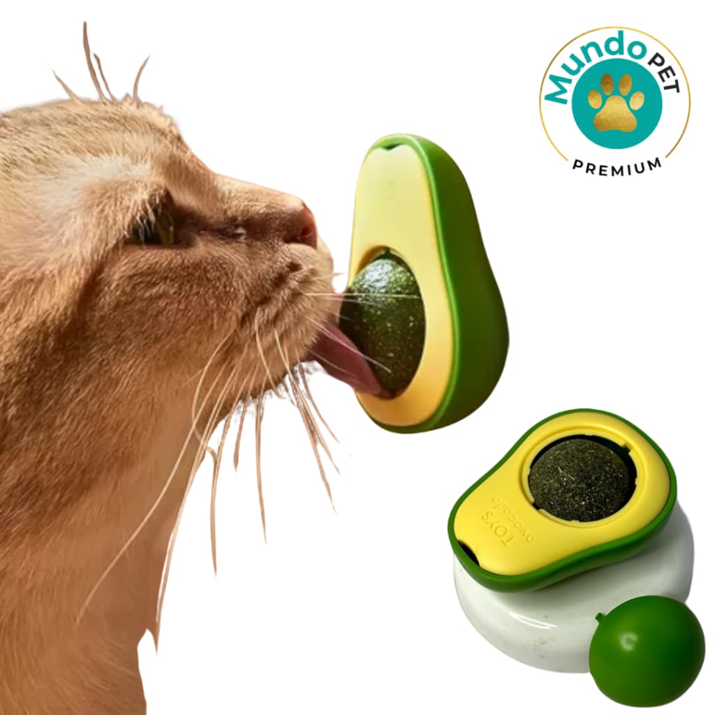 Brinquedo de Gato Abacate Lambe Lambe com Catnip Interativo Pet c/ Adesivo para Parede