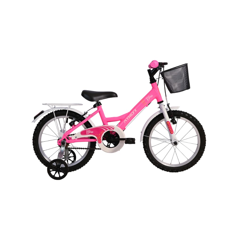 Bicicleta Infantil Feminina Aro 16 Com Cestinha Infantil