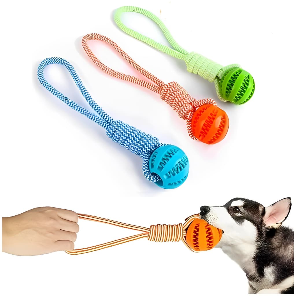 Brinquedo Pet Para Cachorro E Gato Com Bola Porta Ração Puxador Corda Mordedor Interativo 25cm