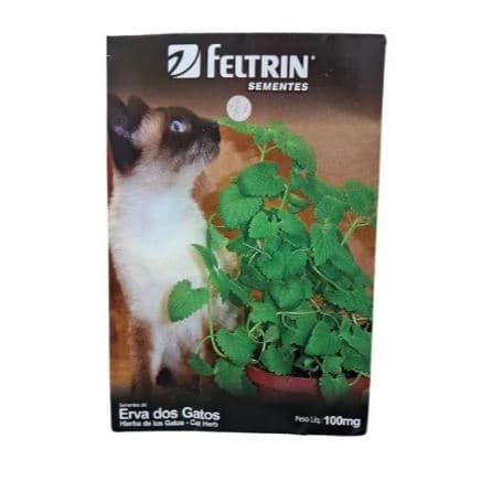 Semente De Erva Dos Gatos Catnip Feltrin 100mg 250 Sementes