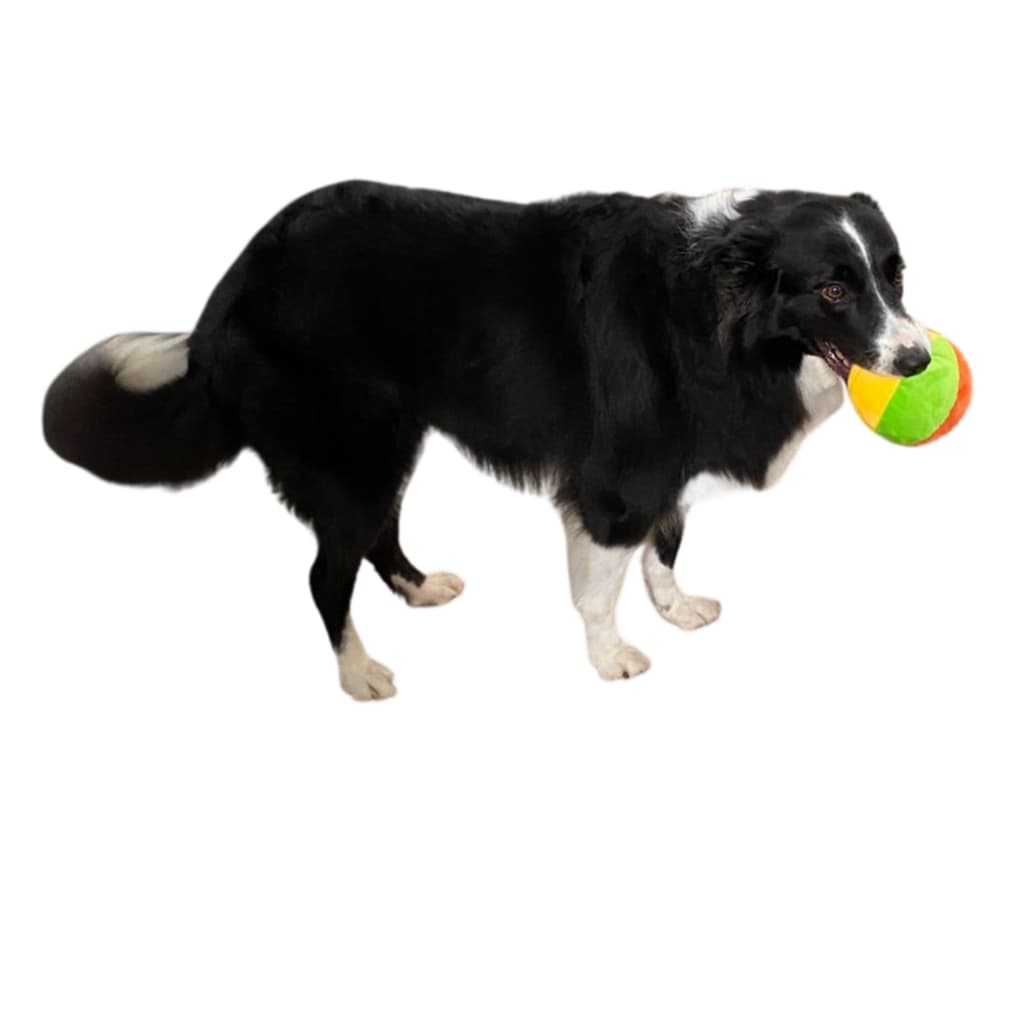 Bolinha De Pelúcia Para Pet Bola Pelucia Cachorro Gato