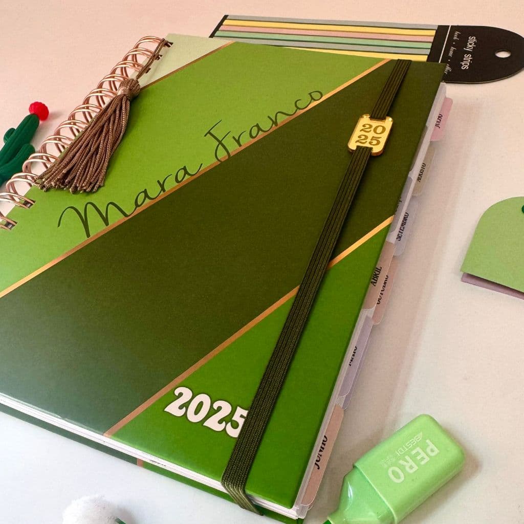 Agenda 2026 Feminina 1 dia por página com hora e planejamentos financeiro