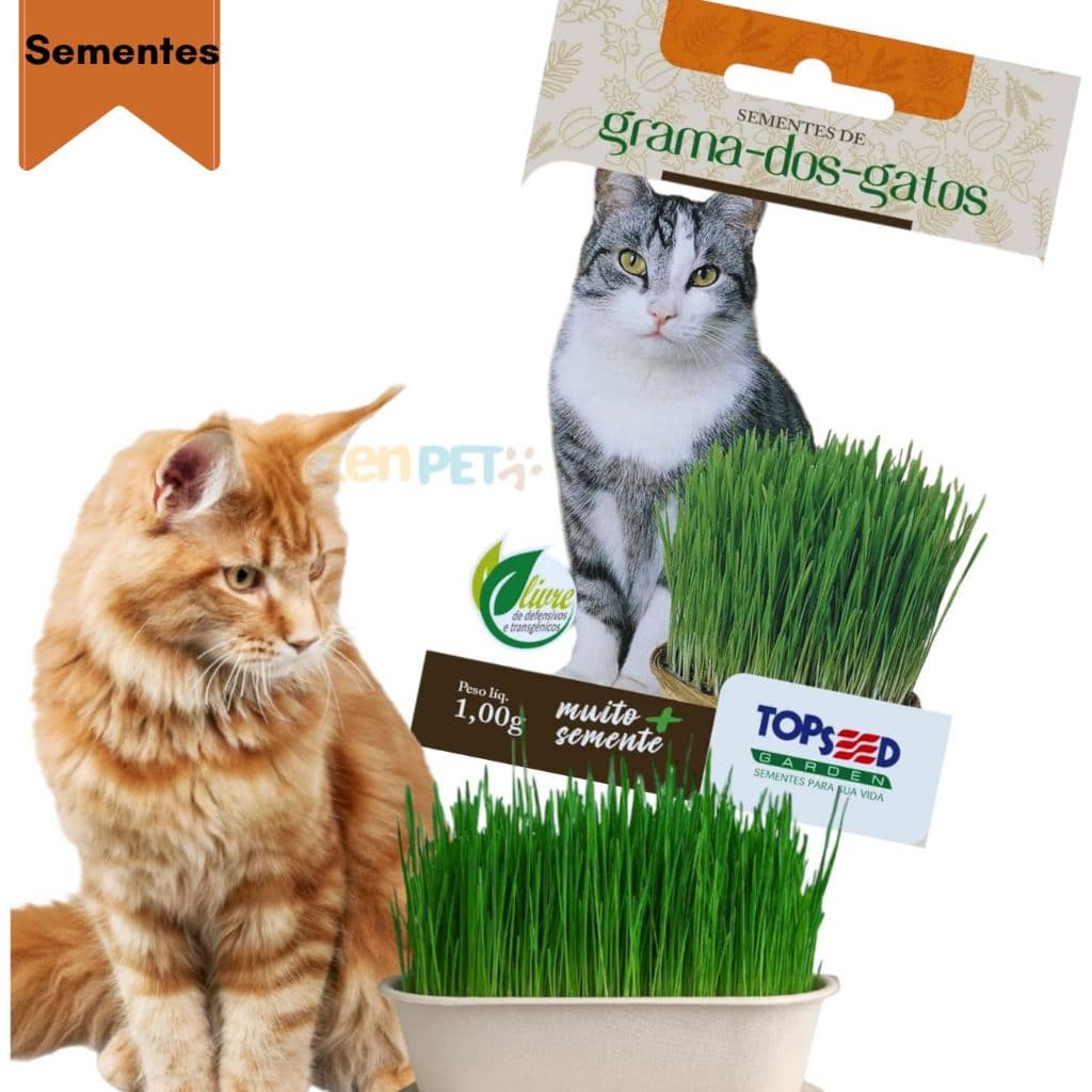 Sementes Grama para Gato - Graminha Para gato