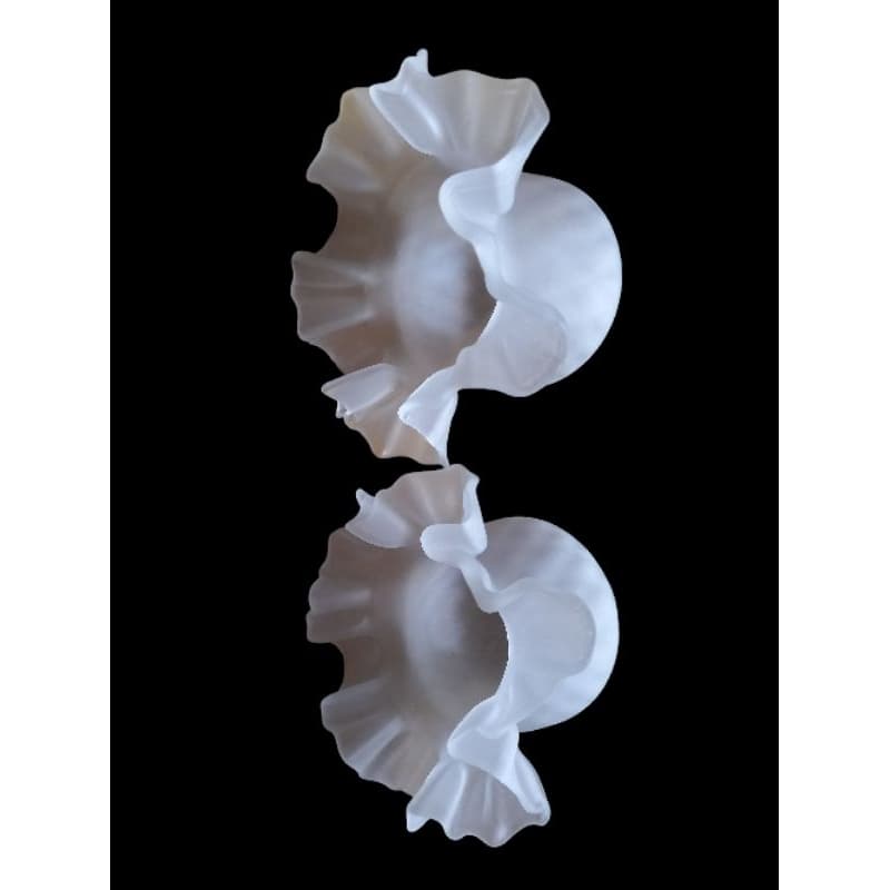 par de tulipas antigas(ab)