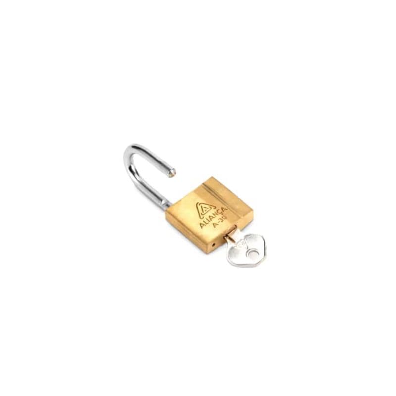 Cadeado de Portão,Janela,Porta,Segurança 30mm com 2 Chaves